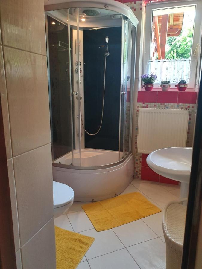 Przytulny Apartament-Cosy And Beautiful Żywiec Екстериор снимка